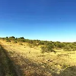 Gospodarstwo agroturystyczne Sa Domo De S'olia *