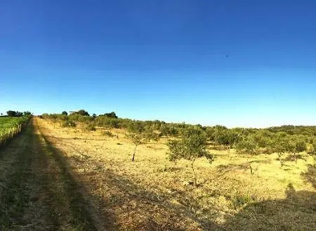 Farmház Sa Domo De S'olia *