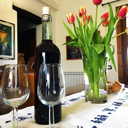 Sa Domo De S'olia Çiftlik konaklama