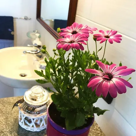 Sa Domo De S'olia * Ozieri