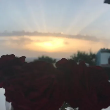 Sa Domo De S'olia Farm stay Ozieri