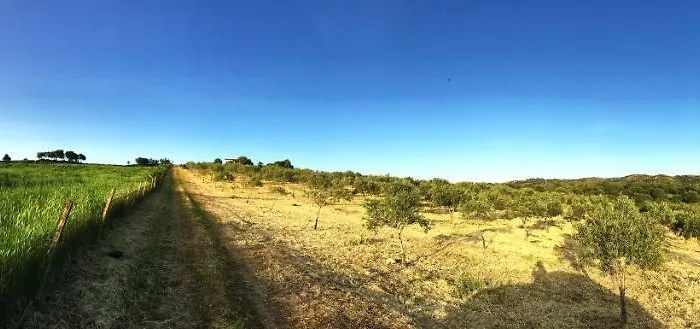 Gospodarstwo agroturystyczne Sa Domo De S'olia *