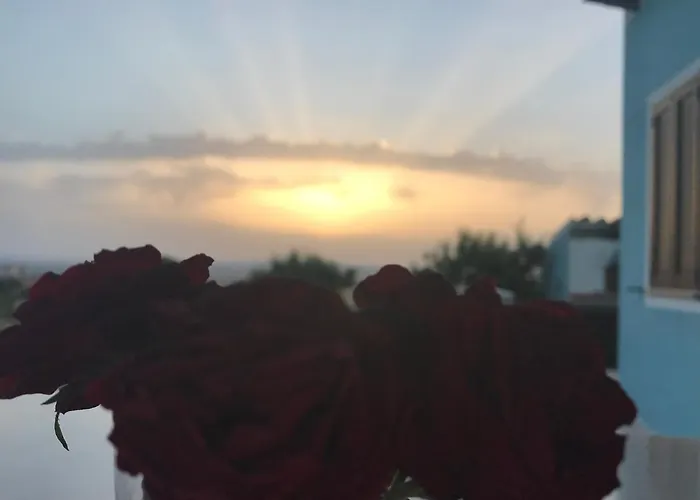 Sa Domo De S'olia Gospodarstwo agroturystyczne Ozieri